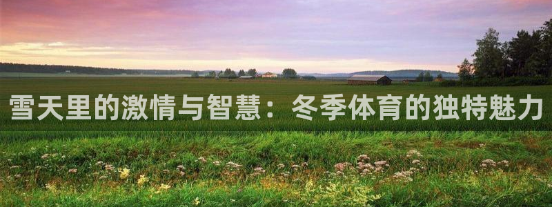 三亿体育