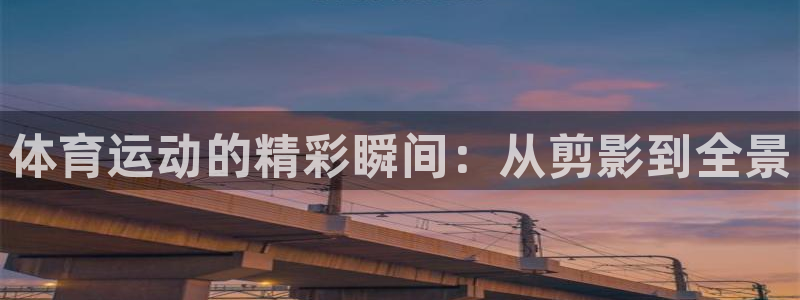 三亿体育网页版