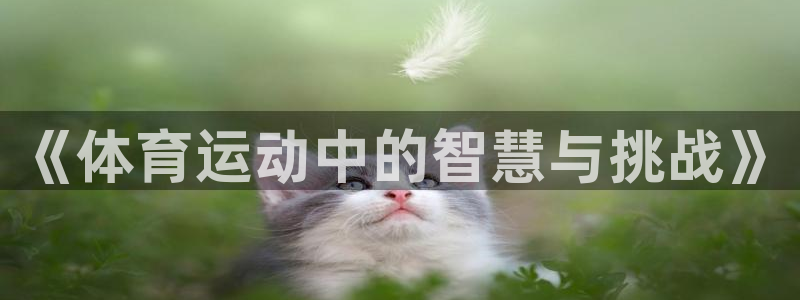 三亿体育网