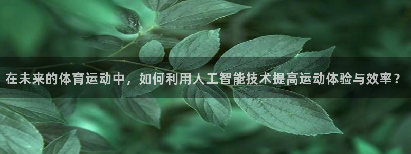三亿体育网页版