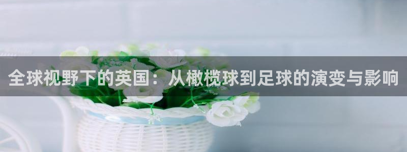 三亿体育网