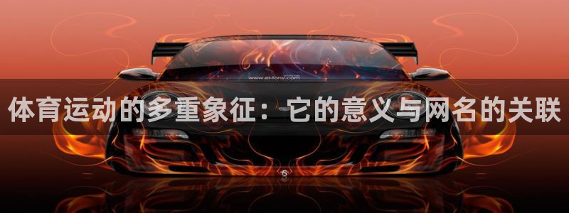 三亿体育