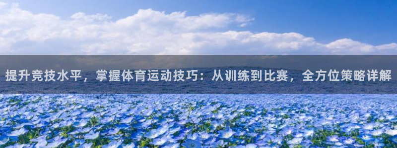 三亿体育网