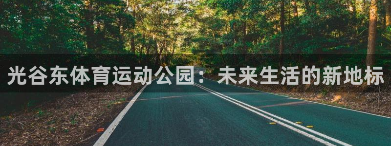三亿体育网