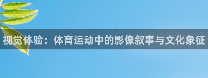 三亿体育