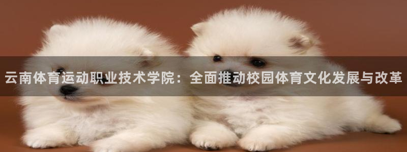 三亿体育网页版
