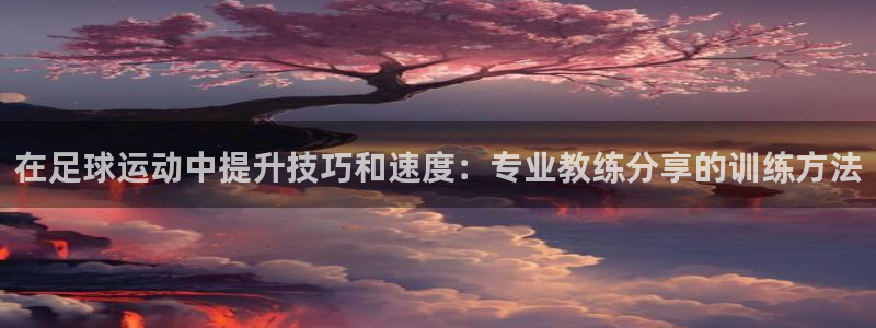 三亿体育