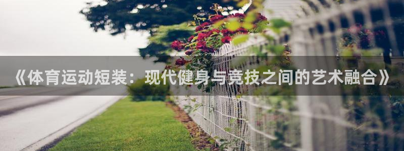 三亿体育网页版