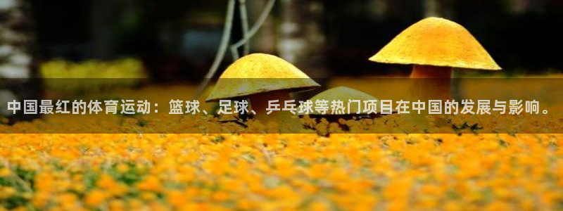 三亿体育