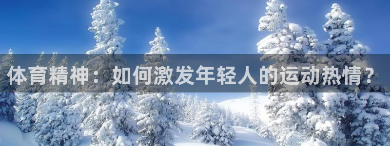 三亿体育网页版